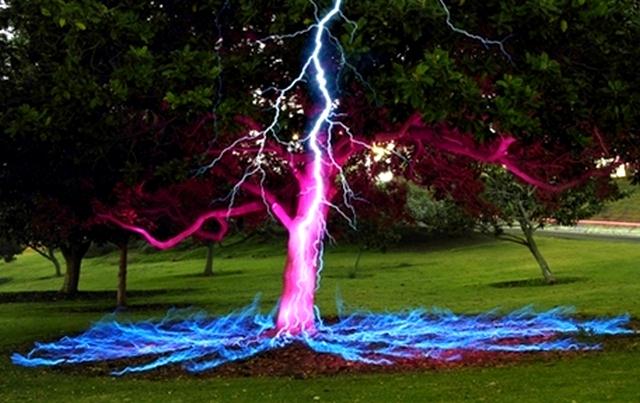 treasure trove under a tree struck by lightning myth or reality