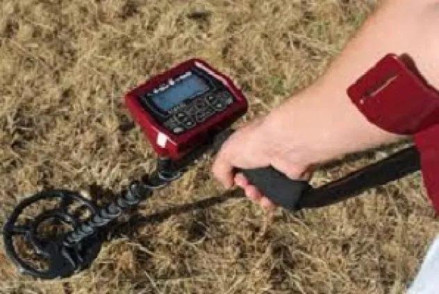 What is the difference between a professional metal detector
